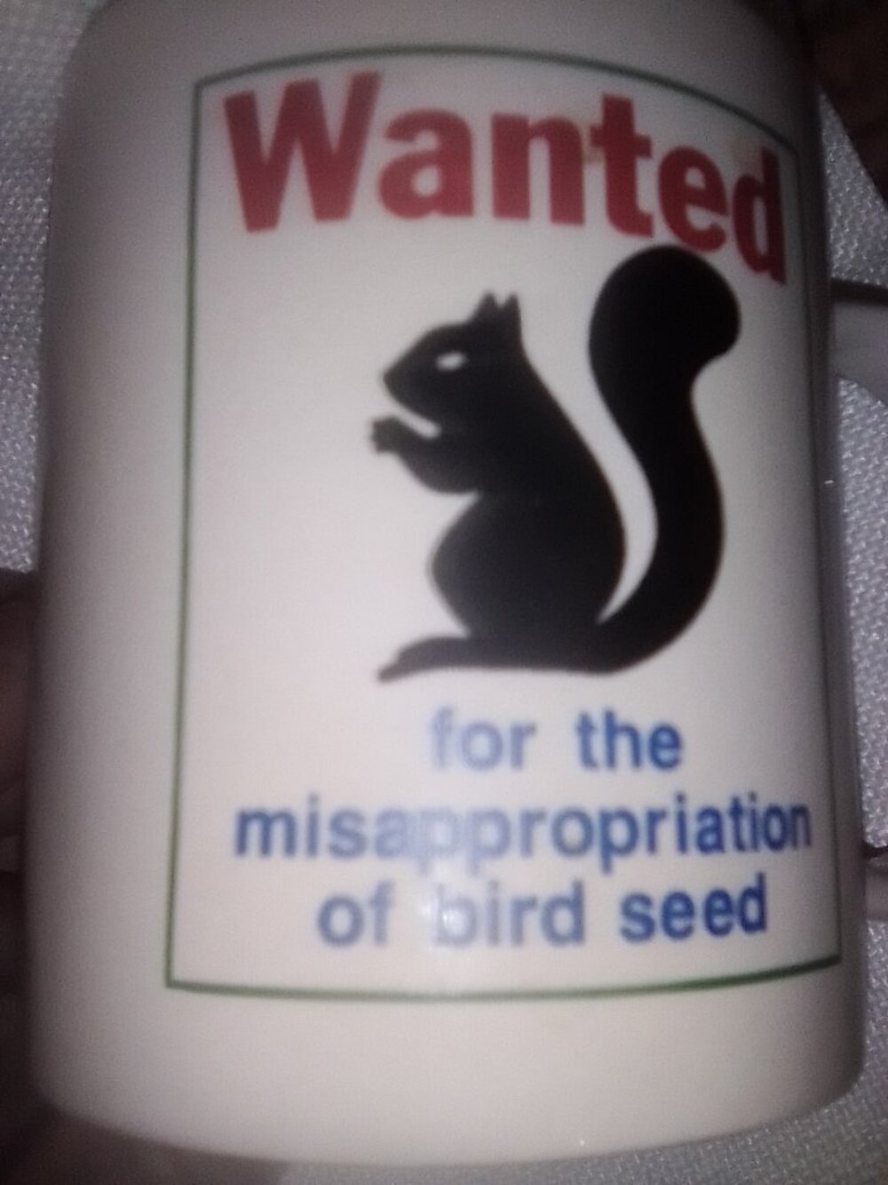 "Wanted"  Squirrel mug, funny gift